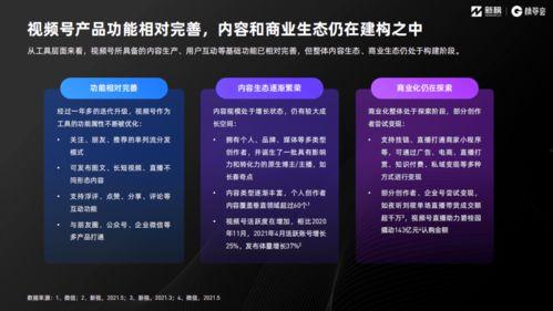 汕尾城市爆料新闻报道视频,最新视频揭露城市动态 第2张 汕尾城市爆料新闻报道视频,最新视频揭露城市动态 第2张