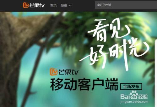 芒果电影直播在线观看,畅享云端观影新体验