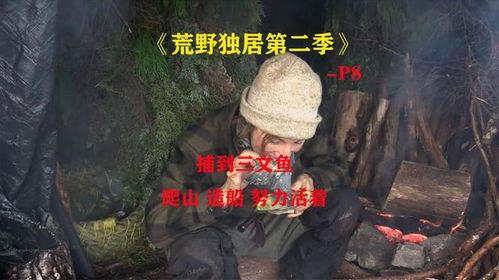 荒野独居真实爆料视频,揭秘真实爆料视频背后的惊悚故事