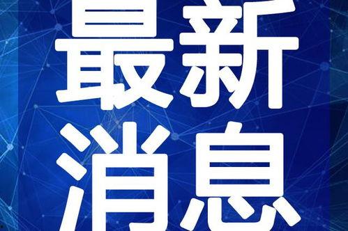 宋大嘴最新爆料视频大全,揭秘娱乐圈幕后真相