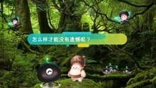 野生菌爆料视频播放,视频揭秘菌类世界奇观  第2张
